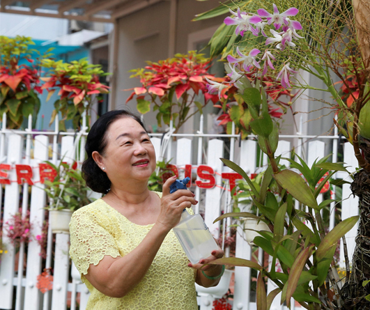 Resident’s garden
