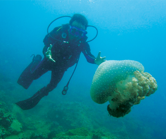 New challenge: Diving to the sea-bed